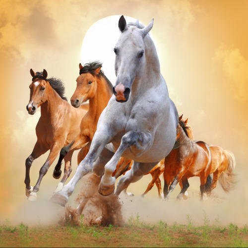 Horse